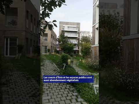 Image youtube